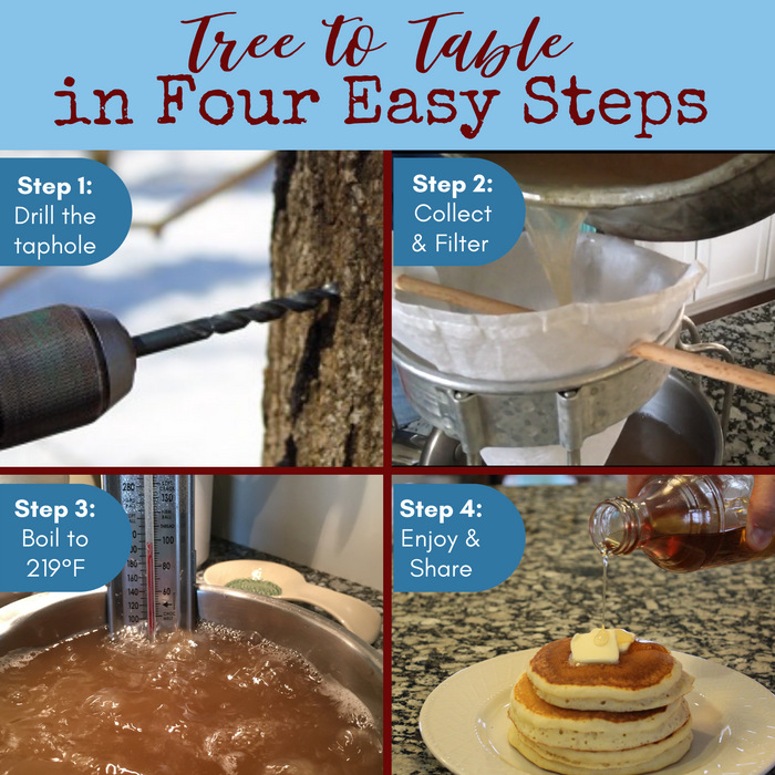 Image headline: Tree to Table in Four Easy Steps. Four images show a drill going into a maple tree, syrup being poured through a filter, syrup boiling with a thermometer, and stack of pancakes with a pat of butter on top with syrup pouring out of a jar.