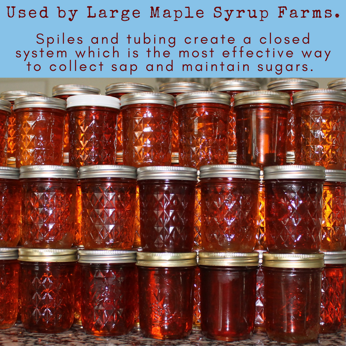 Large stack of half-pint, faceted canning jars filled with golden brown pure maple syrup. Headline says: used by large maple syrup farms. Closed mainline systems are the most effective way to collect sap and maintain sugars.