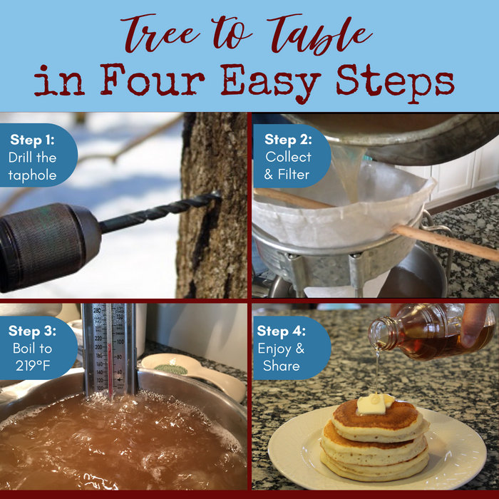 Image headline: Tree to Table in Four Easy Steps. Four images show a drill going into a maple tree, syrup being poured through a filter, syrup boiling with a thermometer, and stack of pancakes with a pat of butter on top with syrup pouring out of a jar.