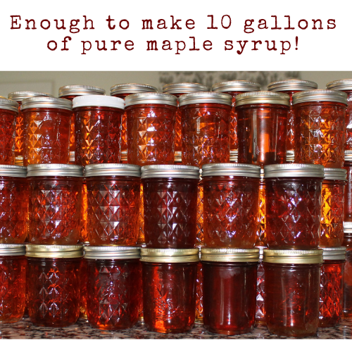Large stack of half-pint, faceted canning jars filled with golden brown pure maple syrup. Headline says: used by large maple syrup farms. Closed mainline systems are the most effective way to collect sap and maintain sugars.