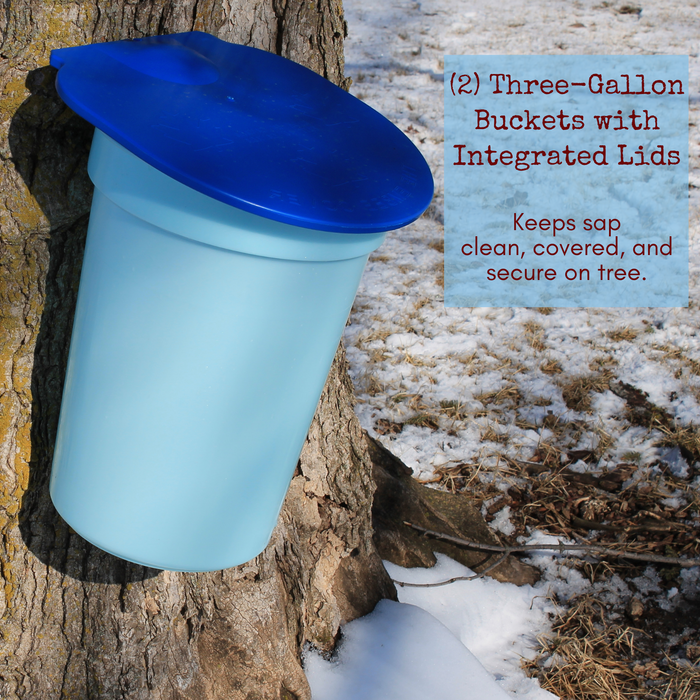 three gallon blue maple tapping bucket with lid hanging on a maple tree in winter