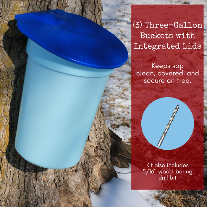 three gallon blue maple tapping bucket with lid hanging on a maple tree in the winter