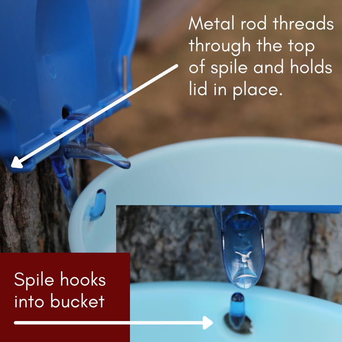 illustration of how blue lid and spile integrate into maple tapping bucket