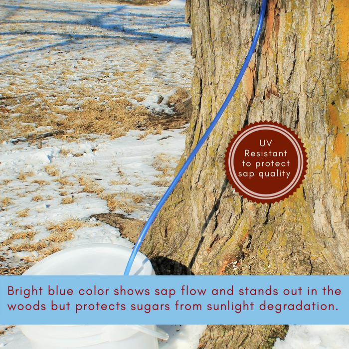 Long blue tube attached to a spile in a maple tree and extending into a white bucket with snowy background. Captions read: Bright blue color shows sap flow and stands out in the woods but protects sugars from sunlight degradation.